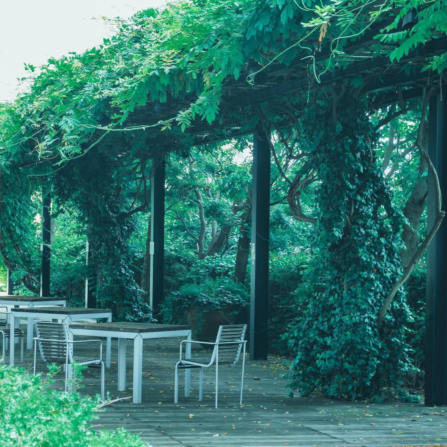 癒しの空間。 – from Instagram