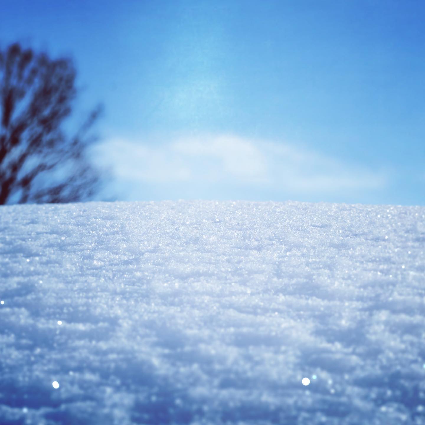 雪を撮りに行って気づいたこと。朝の凍った雪面だけが持つ、あの質感の話