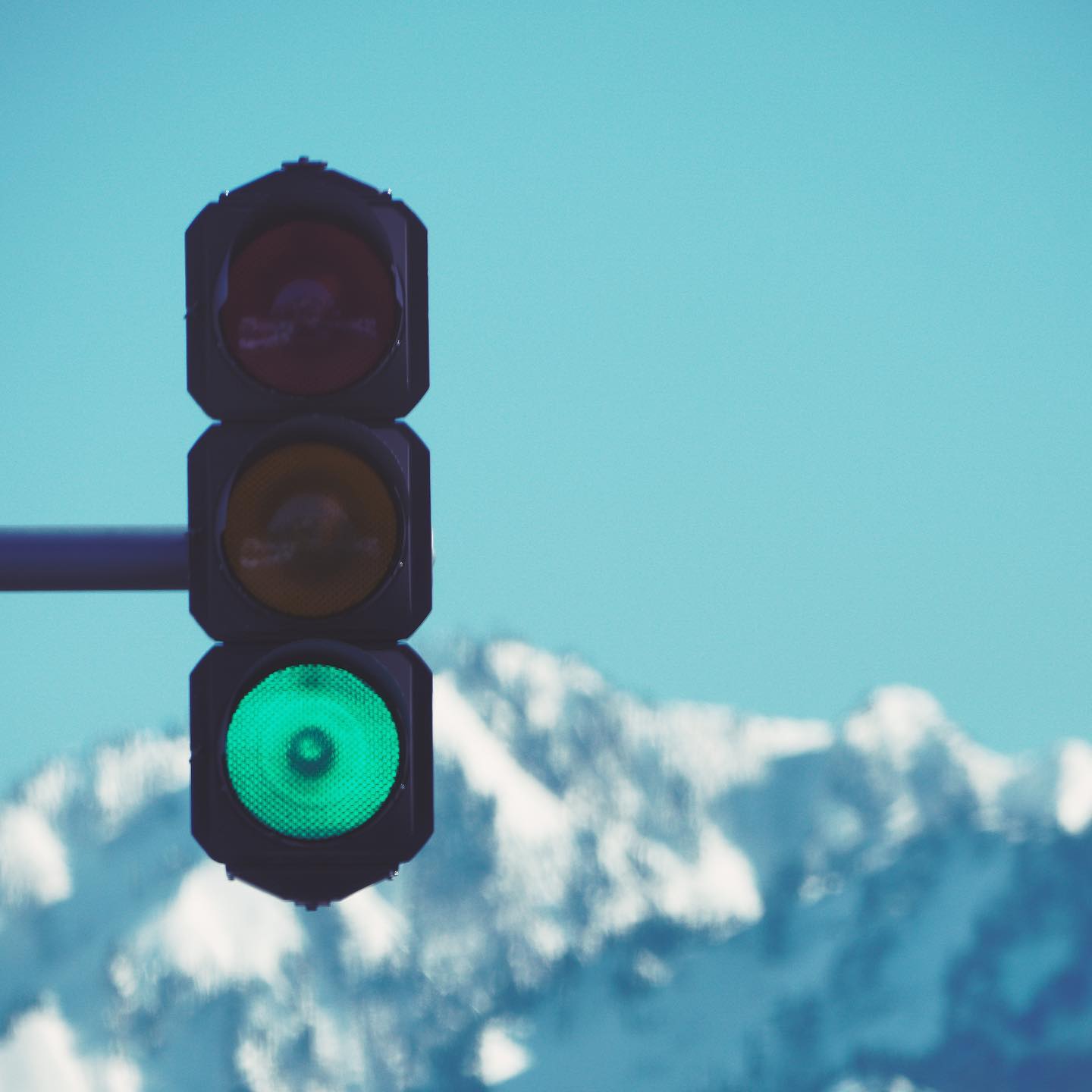 緑一色の世界を撮ってみた話。「ALLGREEN.」というタイトルをつけた理由